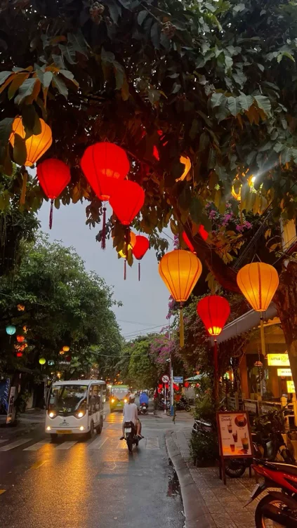 Vietnam 🐞🫧