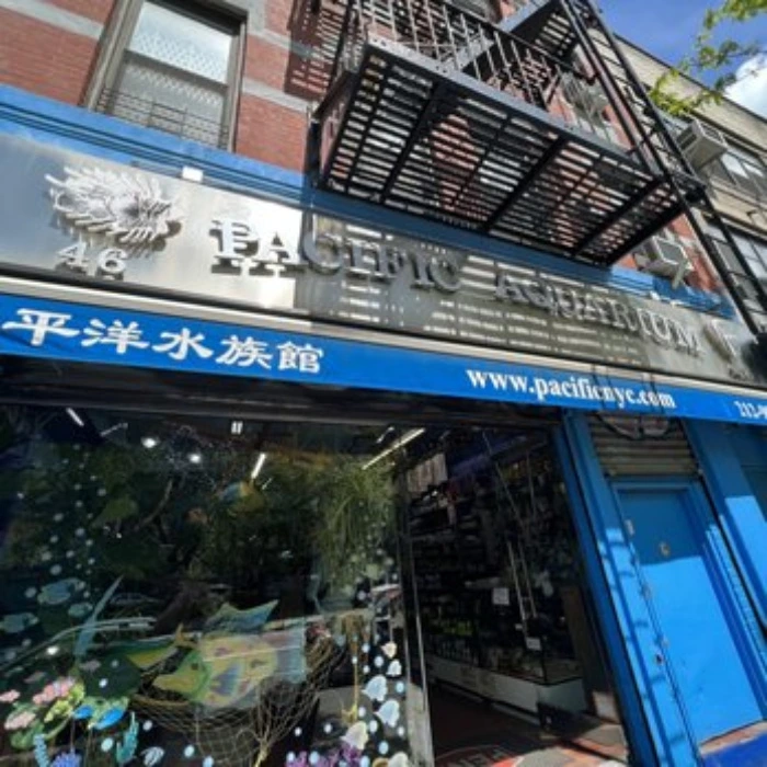 Aquarium shopping spree