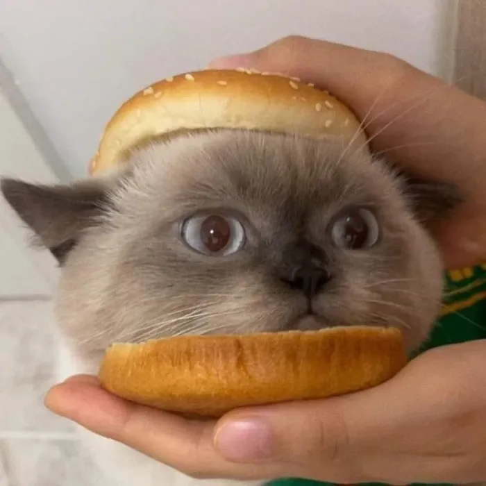 Because I am cute...