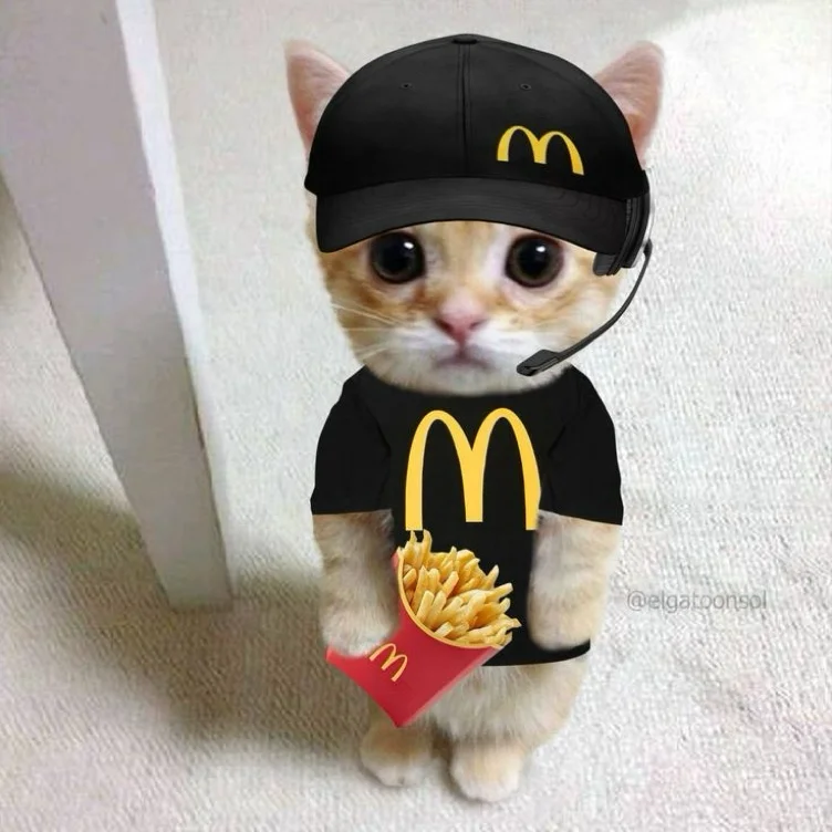 McDonald’s Meal