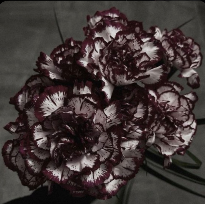 222 flowers