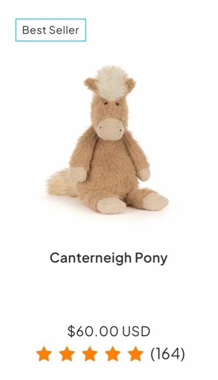Canterneigh Pony