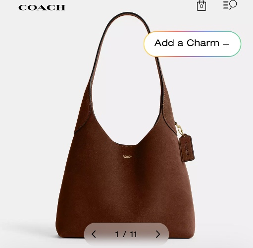 Coach bag