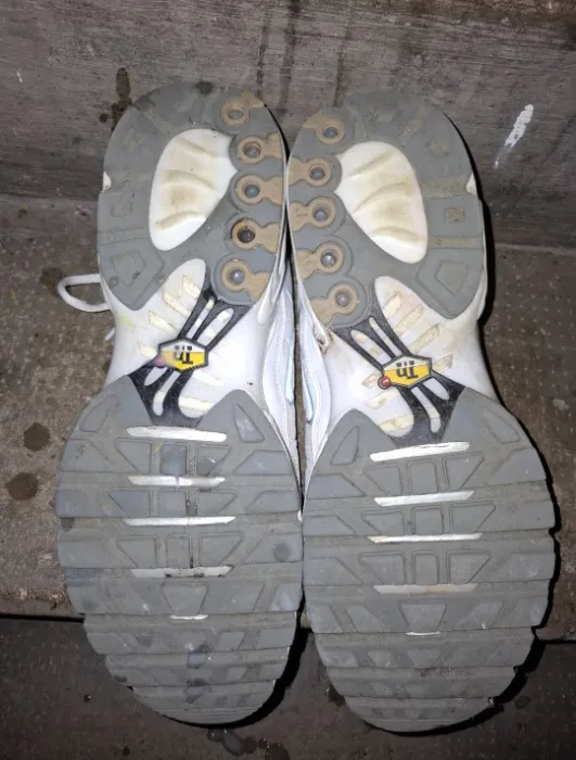 Say Hi to your master