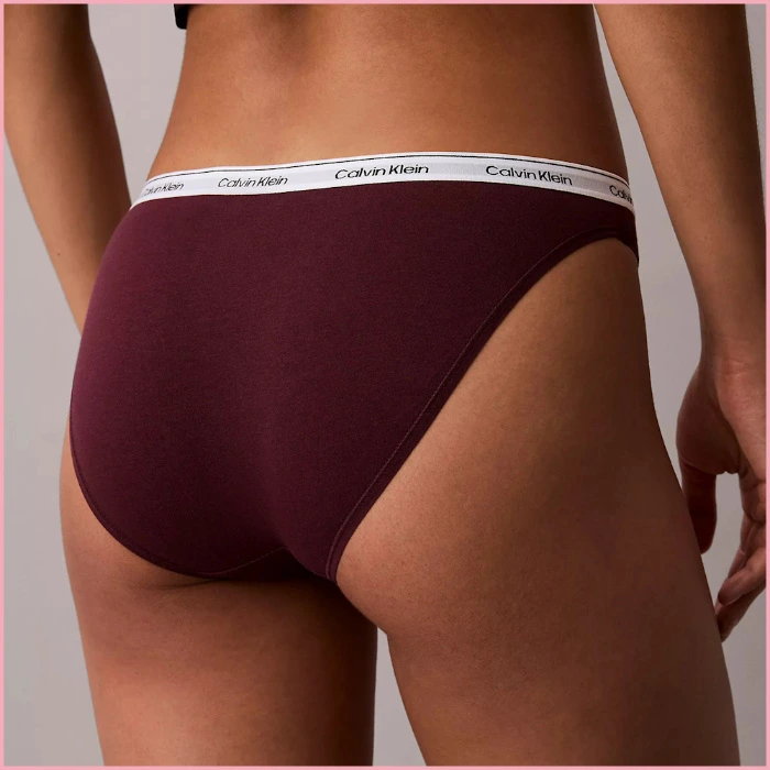 Dark Berry Calvin Klein Modern Logo Bikini
