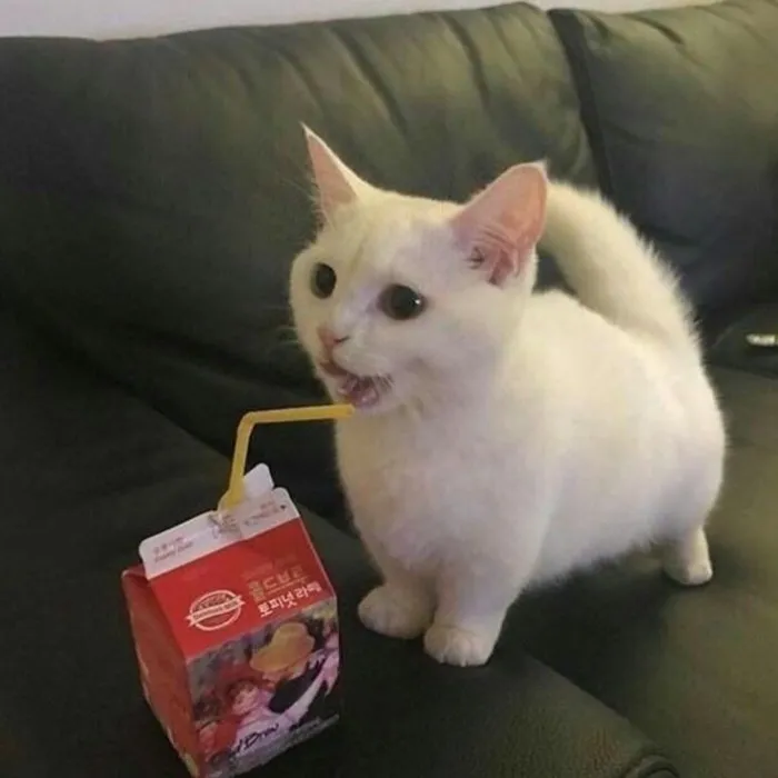 Snacks :3