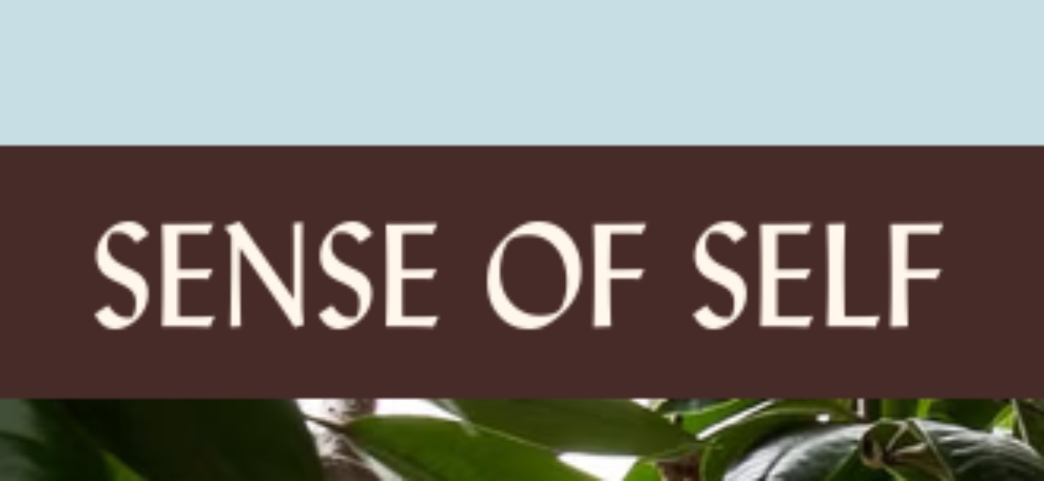 Sense of Self Bath House 