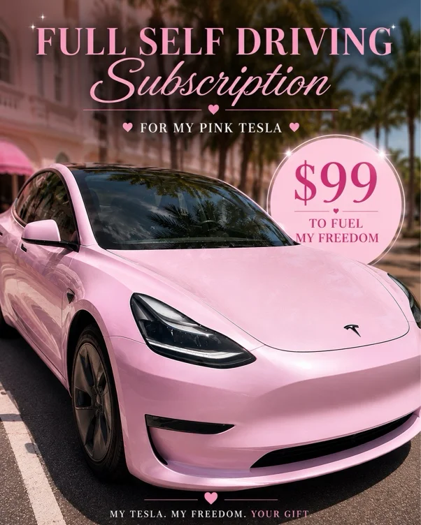 Full Self Driving Tesla Subscription 