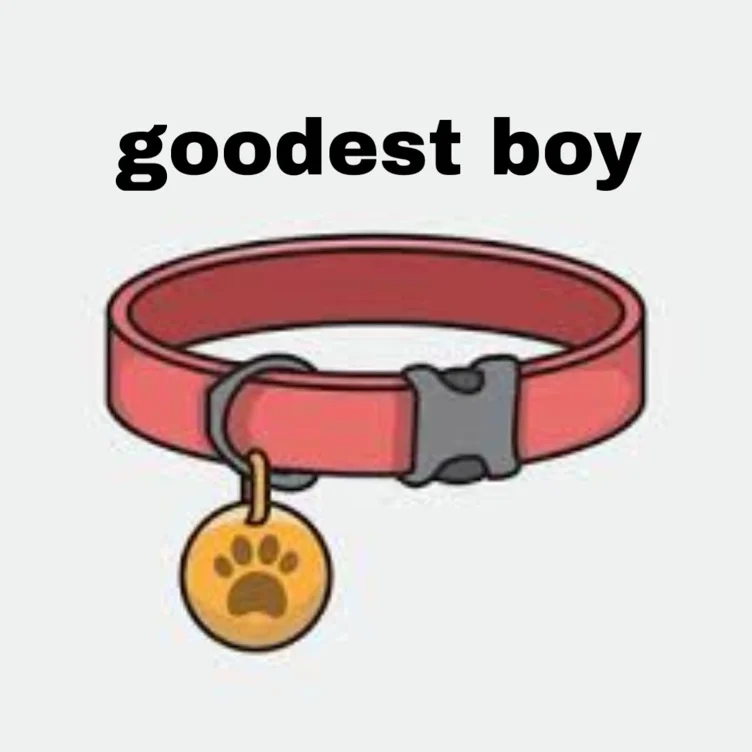 goodest boy 