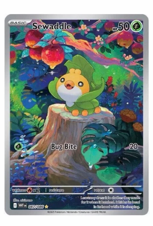 Sewaddle - 087/086