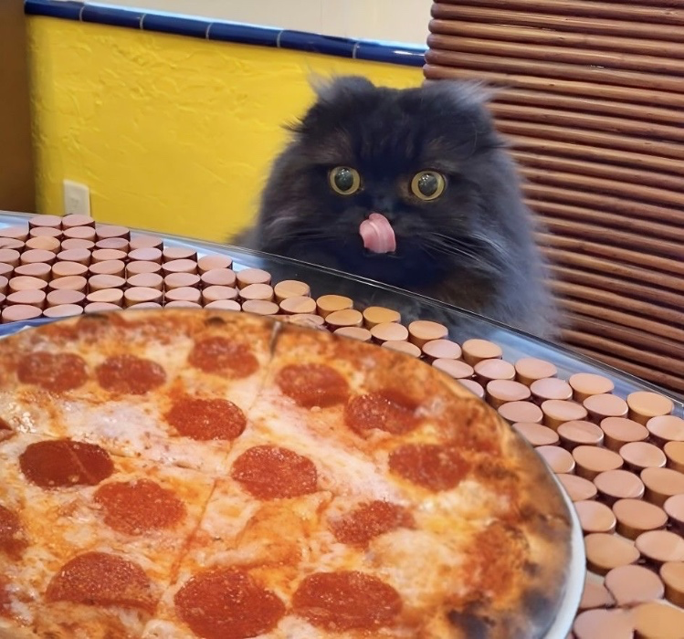 Pizza 