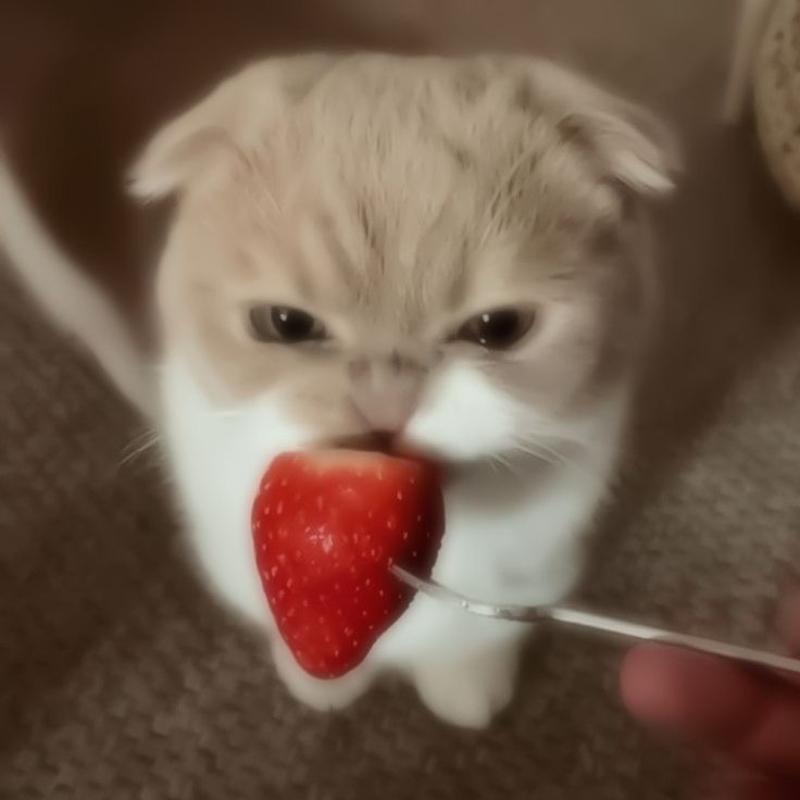 Strawberries