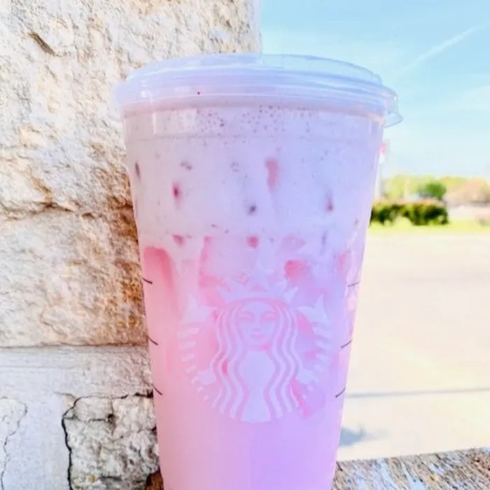 Daily Addiction ♡
