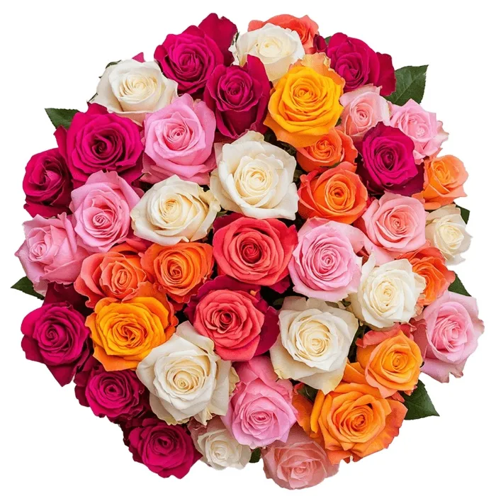 25 Initial Roses 