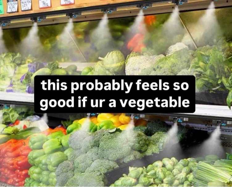 Groceries 🫶