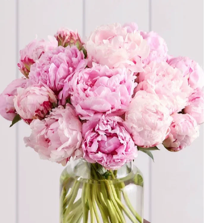 Peonies big