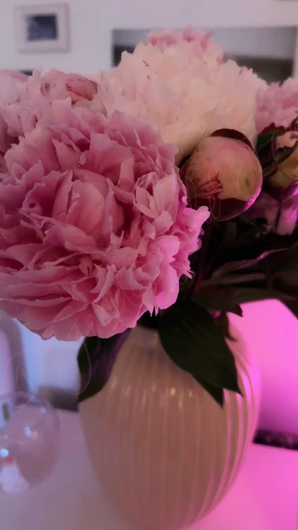 Peonies bigger