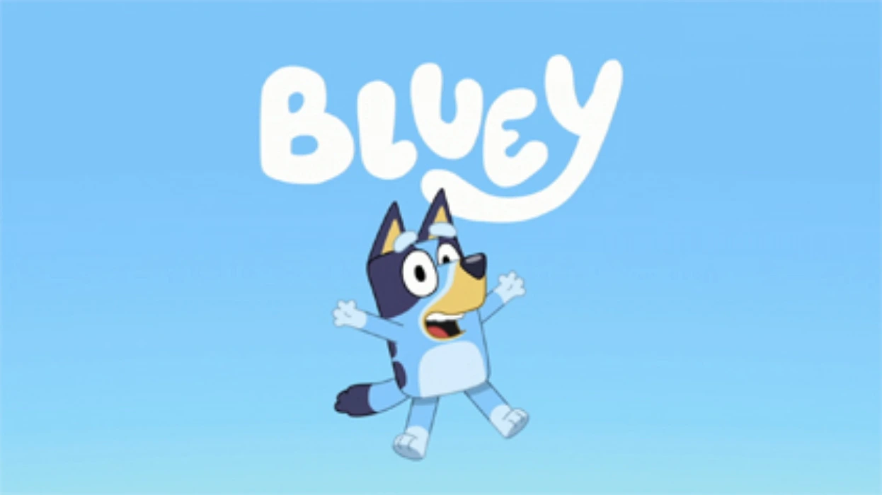 Different Bluey Books