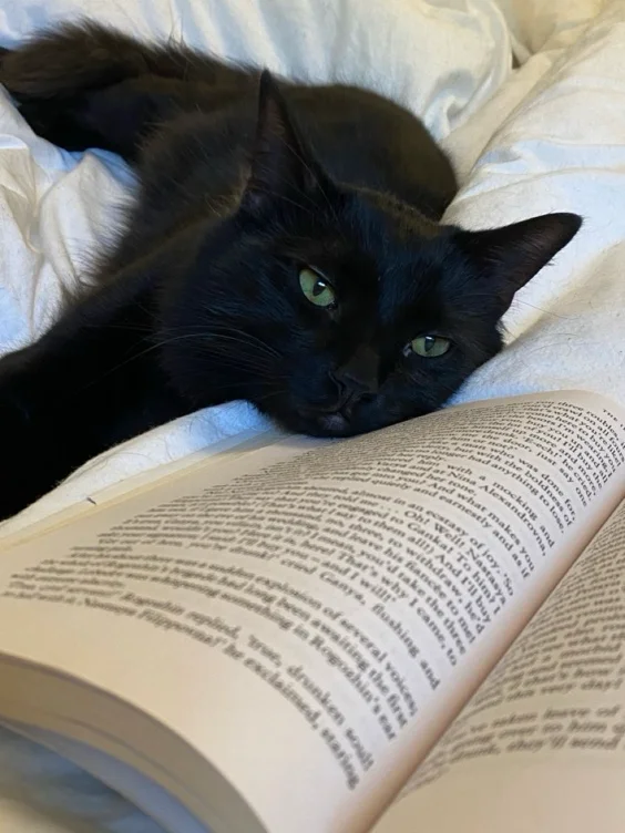 Buy me new books