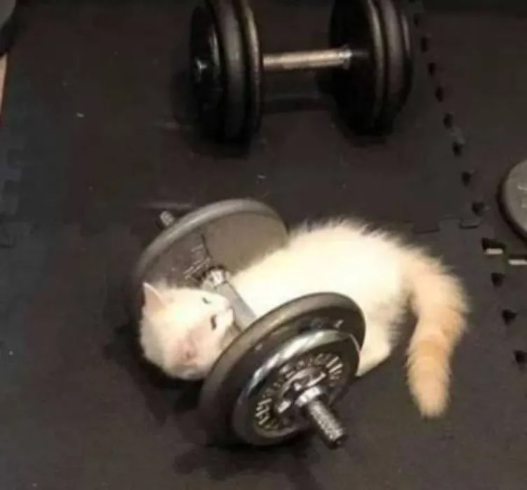 for gym clothes