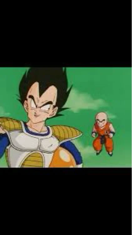 100 dragon balls 