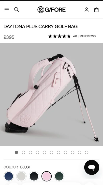 Golf bag 