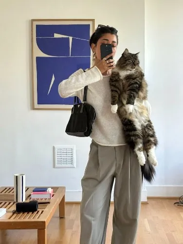 For my cat, Beebee food!