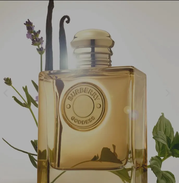 Burberry parfume 50ml 