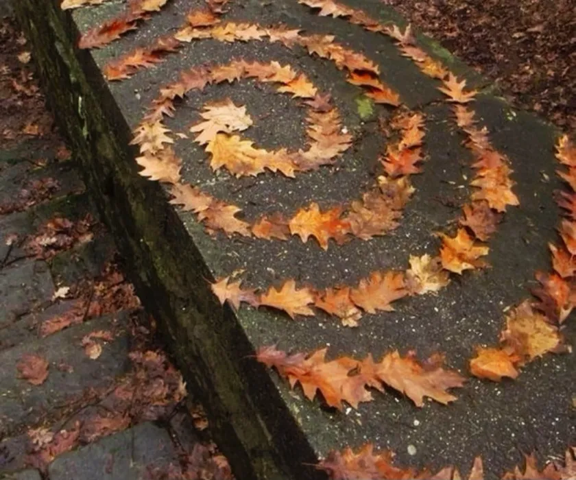 Autumn Home Decorations 