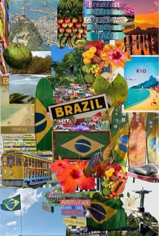 Brazil 🇧🇷✈️🌺