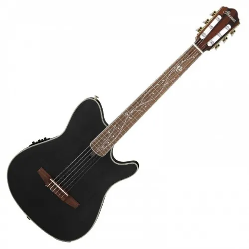 MY FAVOURTE GUITAR TOD10N