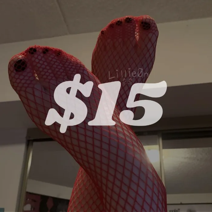 $15 Tip 