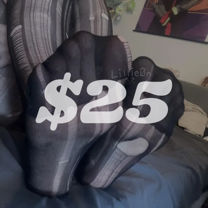 $25 Tip