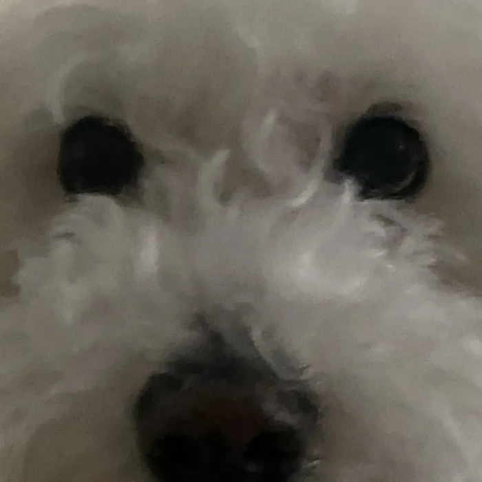 Treats for Puply 🤍