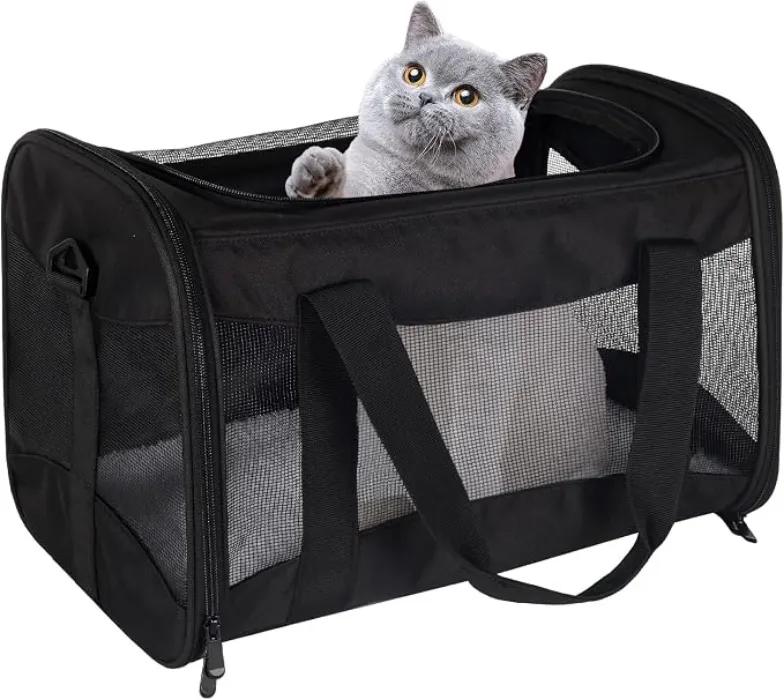Guacal para gatos 