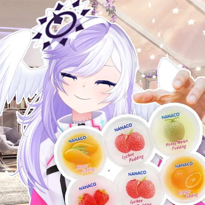 Pudding nata de coco, mix 5 smaków (6 sztuk) 