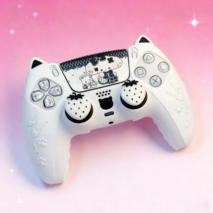 White Controller Case
