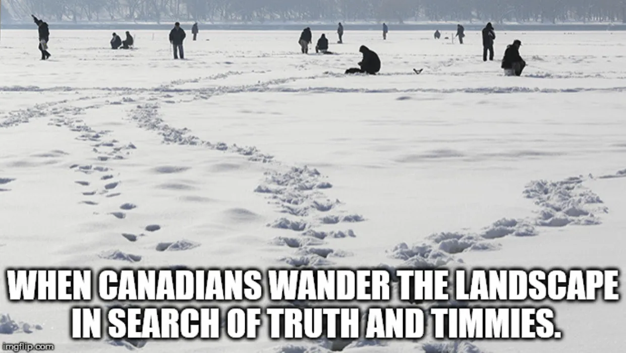 Provide coffee sustenance