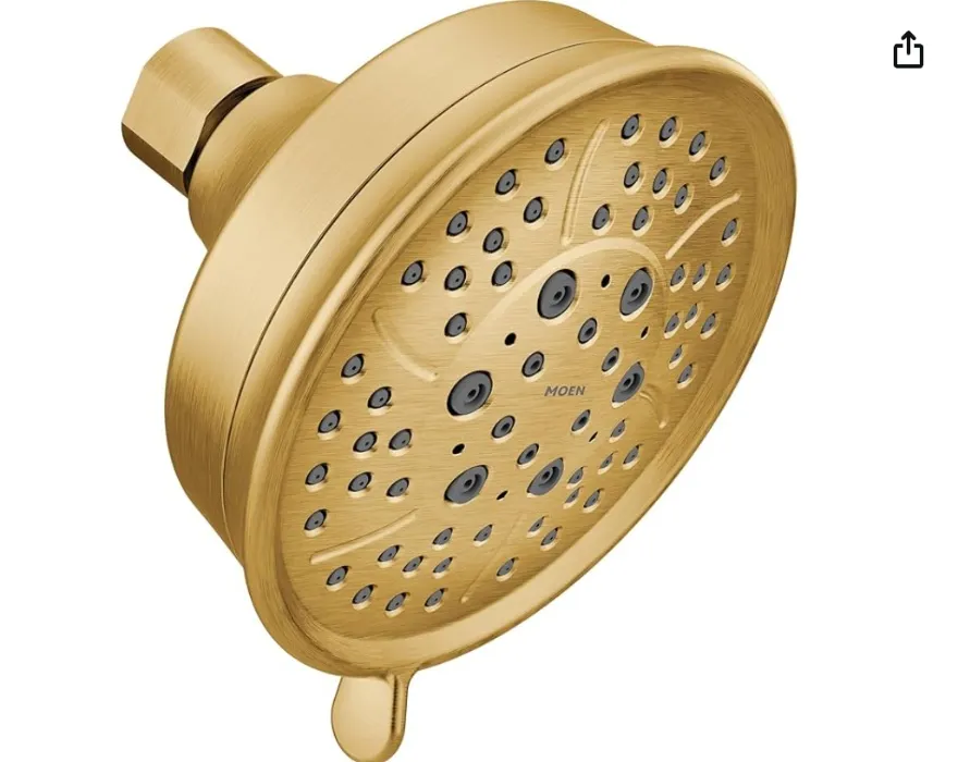 Moen Shower Head