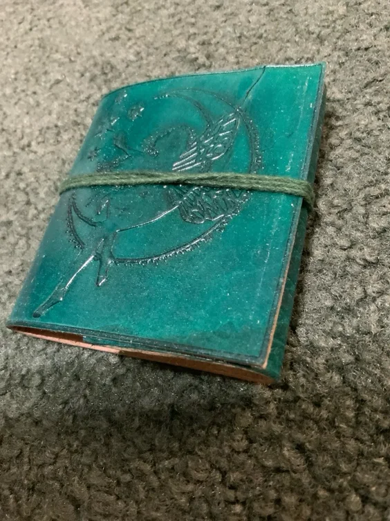 Mini fairy journal — The Selene Underground