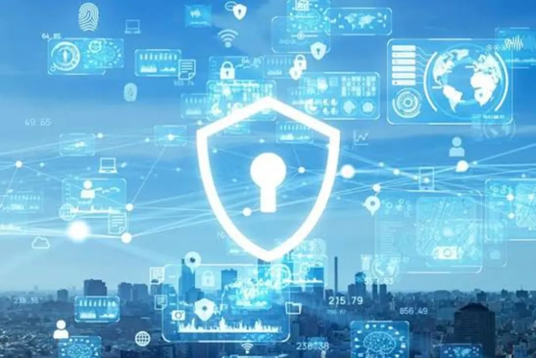 Monthly Safety/Privacy Subscriptions