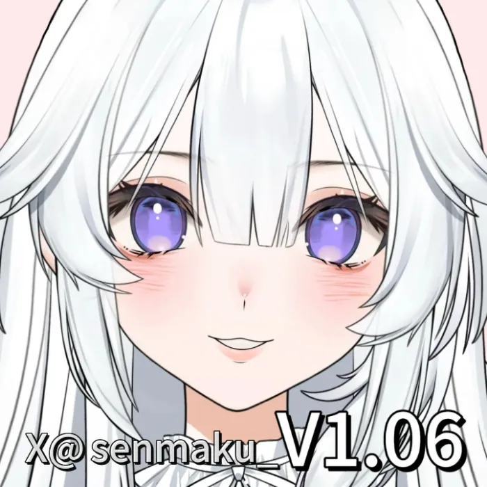 A New Customizable Model!