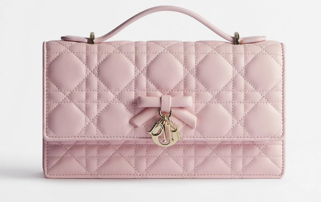 New Collection Dior purse
