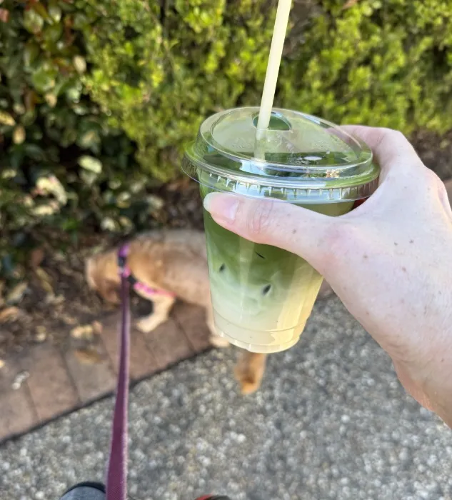 Matcha 4 Sas