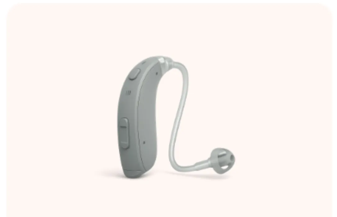 Replace Danni's Hearing Aid