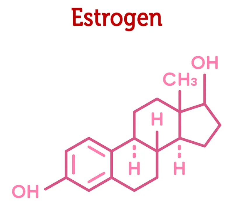 Estrogen (3 meses)