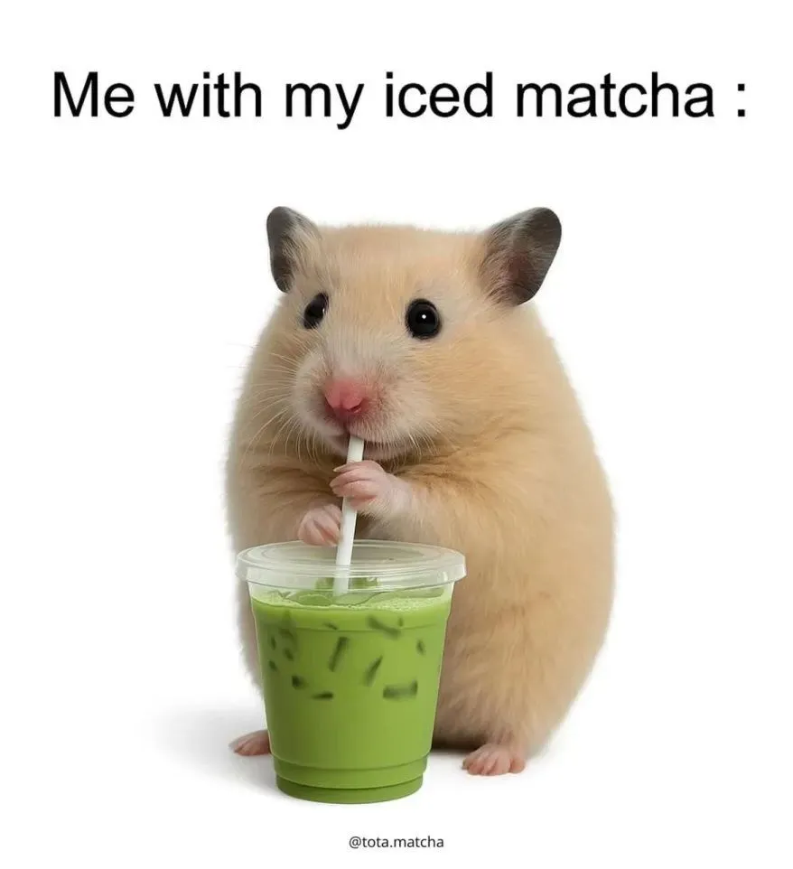 Matcha