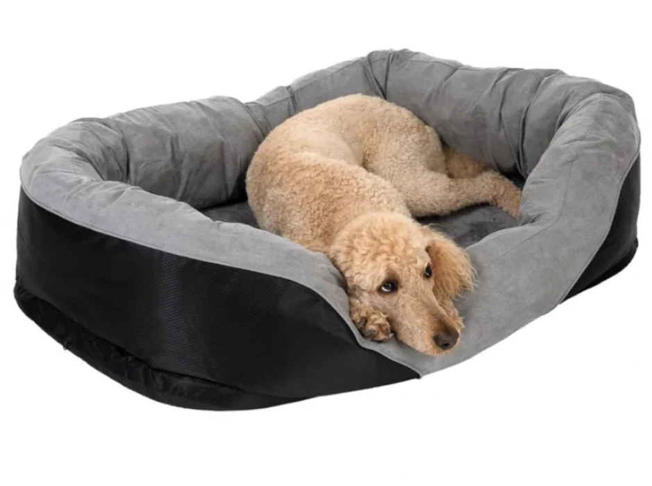 Dog bed for Juno