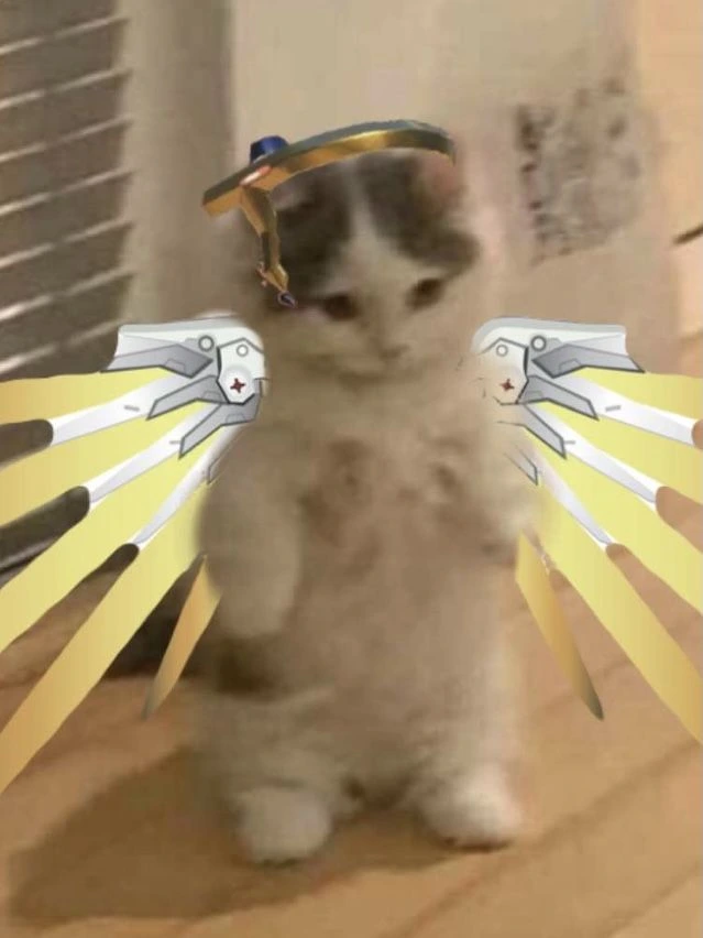 Legendary OW skin (2k coins price)