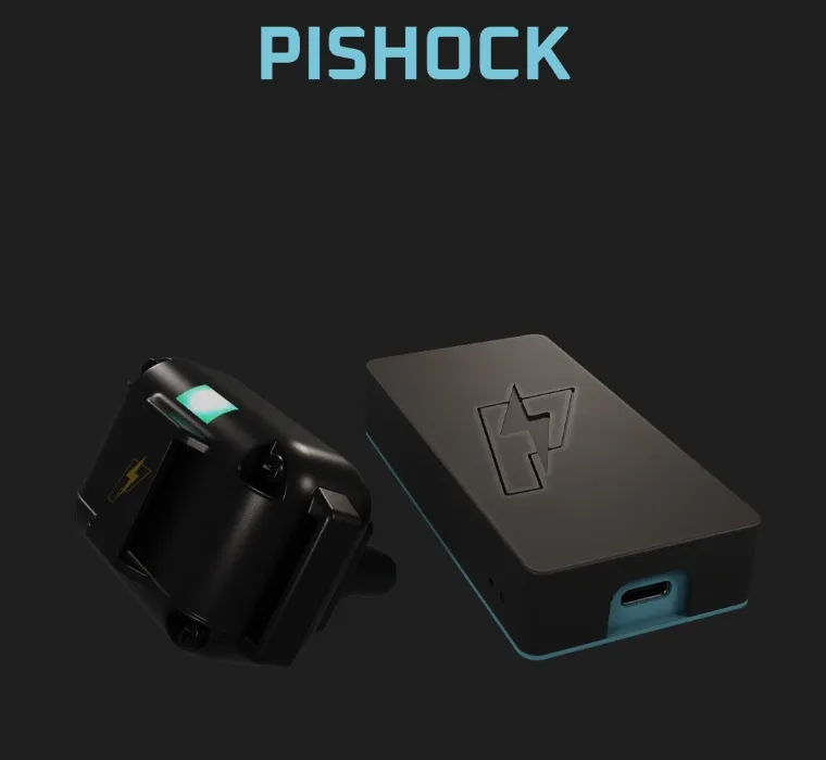 Pi-Shock | Control when the puppy gets shocked!